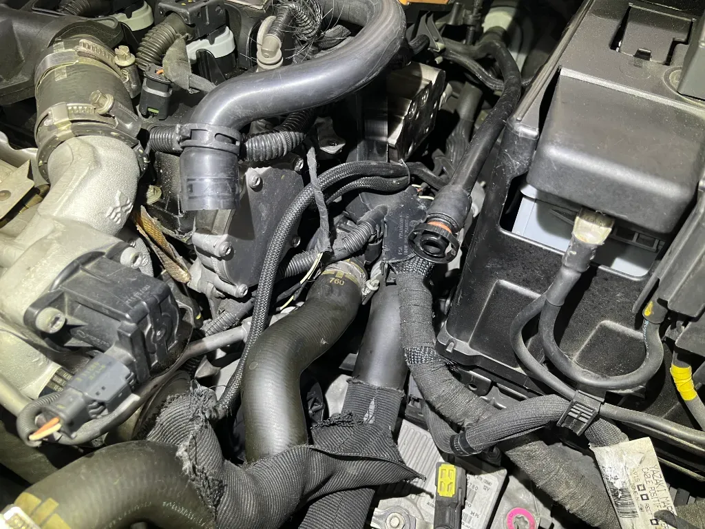 1e267a85-9652-4b84-a198-dea0ca0037c3.webp